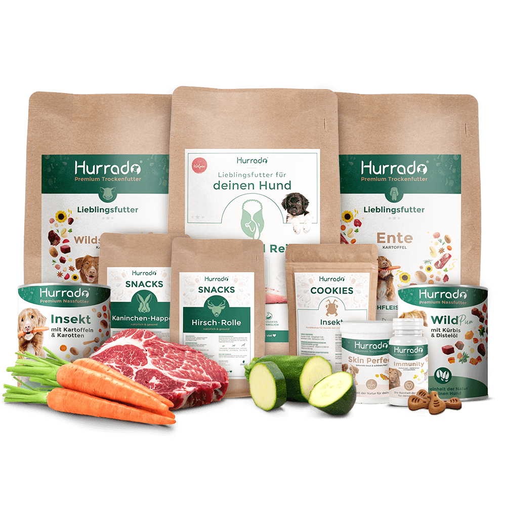 Hurrado Kennenlernboxen